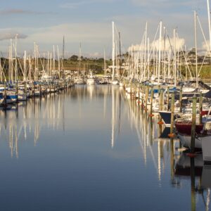 stainless steel marine fabrication at Gulf Harbour Marina, Auckland _ Callum Smith